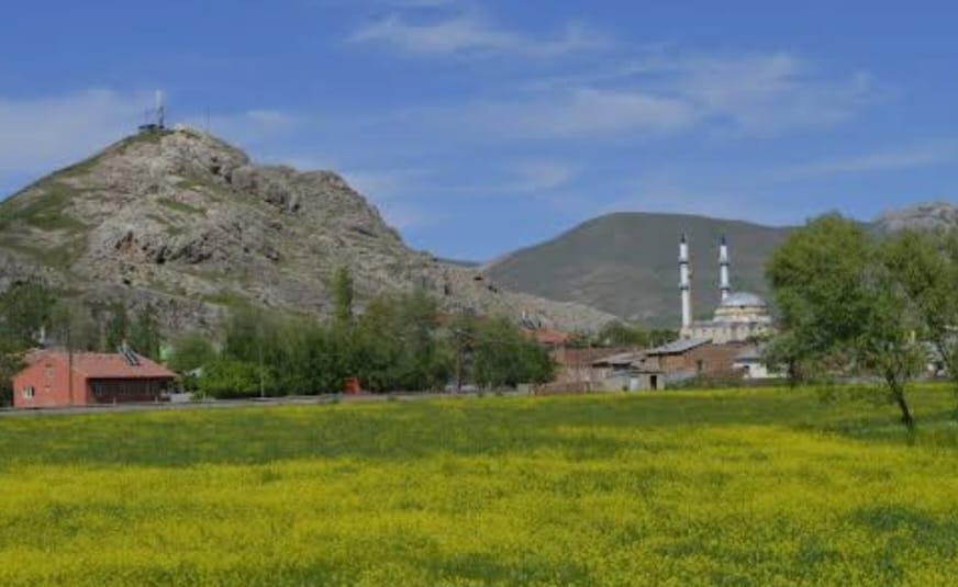 Galeri Foto